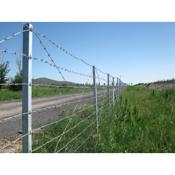 Cerca galvanizada del alambre de púas para la cerca de camino